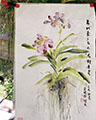 Purple Blue Vanda Orchid